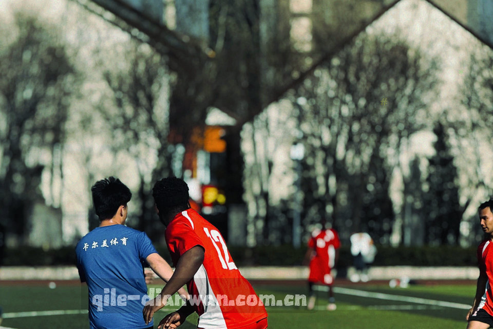 并排排列的四枚段位徽章，下方分别标注新手、进阶、精英、大师四档名称